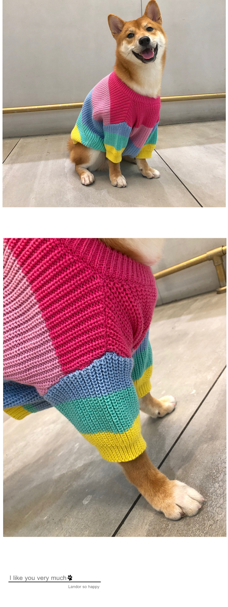 Rainbow Sweater - Back View