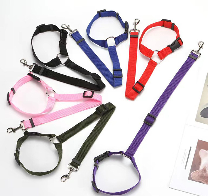 Car Safety Leash Image 2