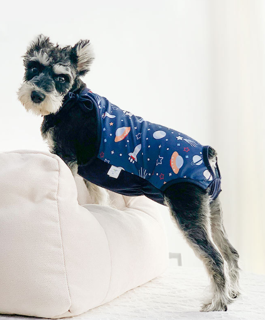 Meteor Print Dog Clothes 3