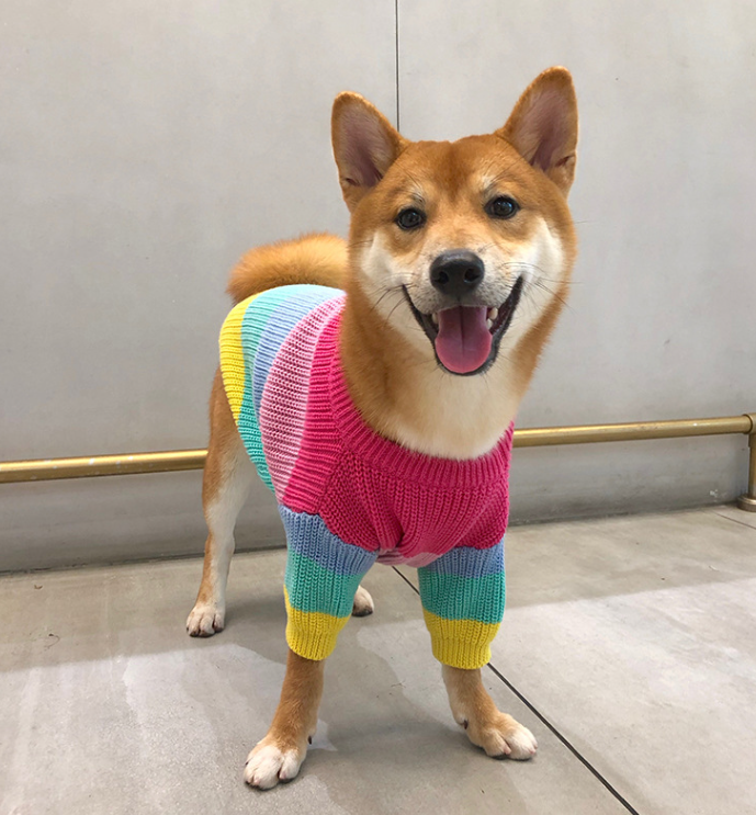 Rainbow Sweater - Front View