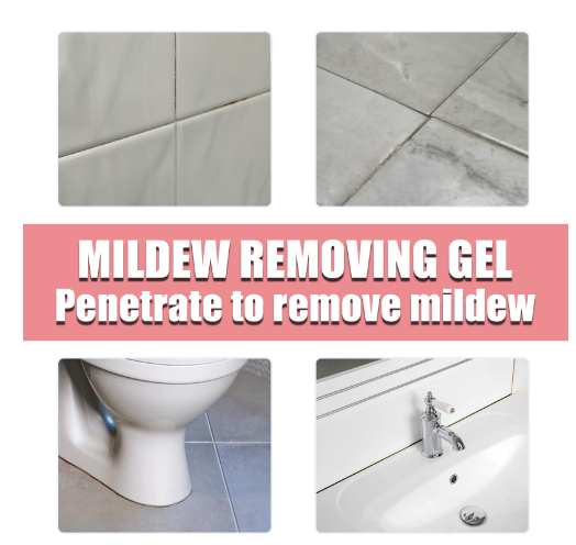 Before and After Mold Removal