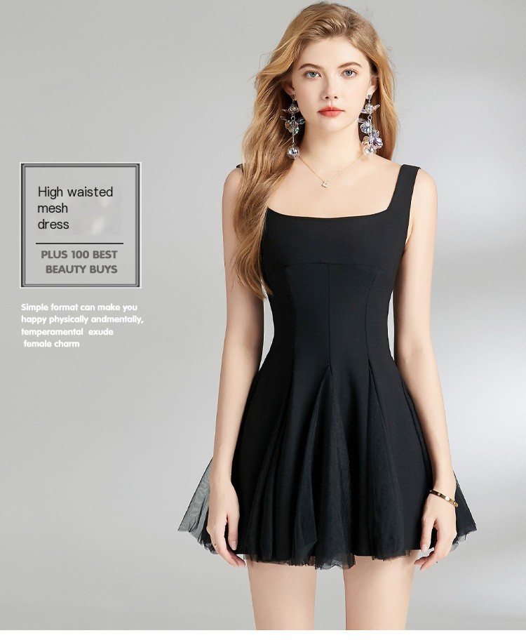 Chic Mesh Dress 1