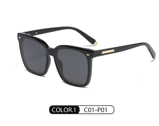 Designer Polarized Sunglasses 1