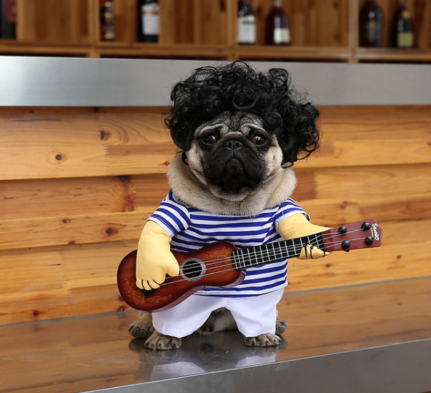 Dog Guitarist Costume