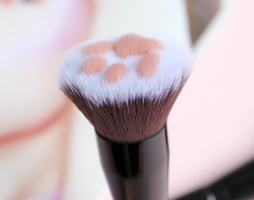 Cat Claw Makeup Brush 4