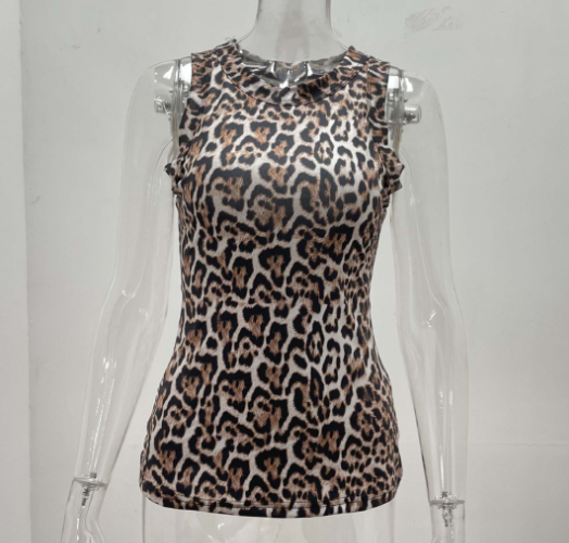 Leopard Print Top 3