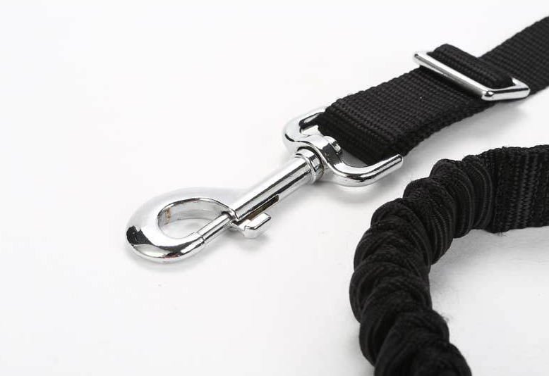 Bicycle Dog Leash Image 2