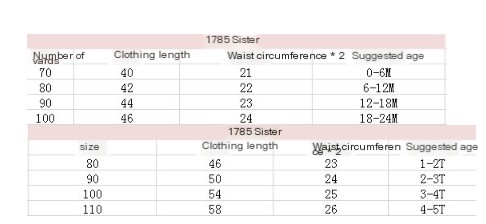 Girl's Floral Dress Skirt