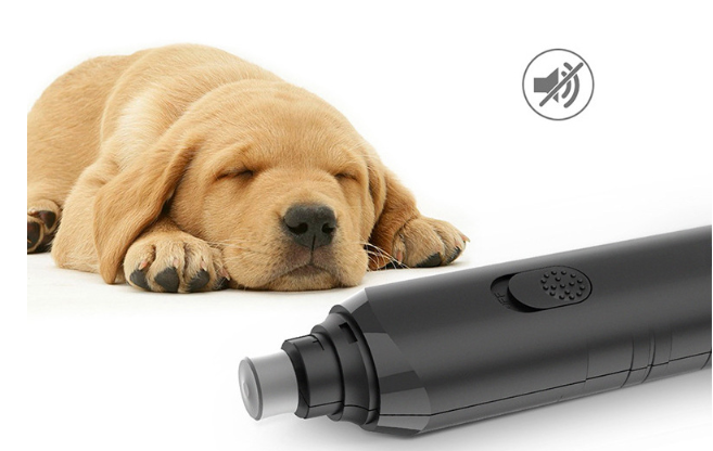 Grooming with Pet Electric Nail Polisher