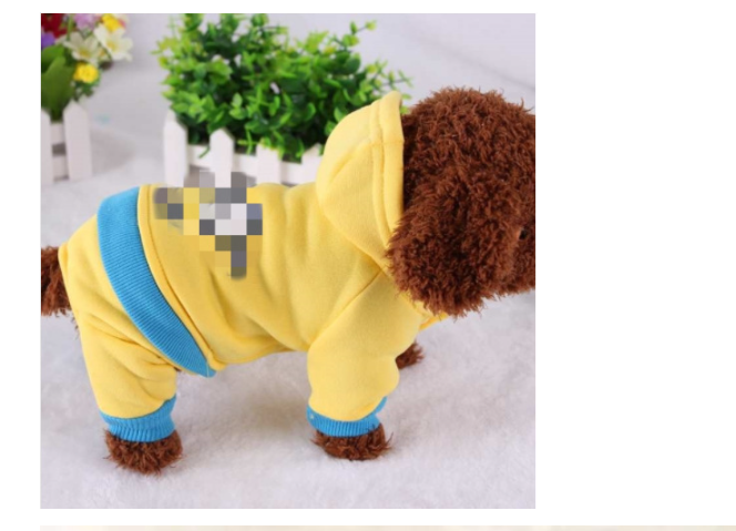 Stylish Dog Outfit