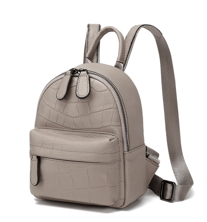 Backpack in Grey Color