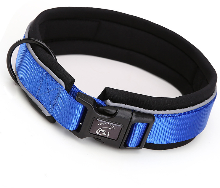 Diving Collar 5