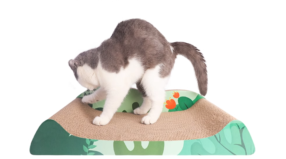 Cat Scratching Board Image 2