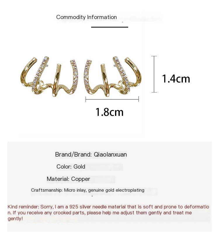 Earrings Image 1
