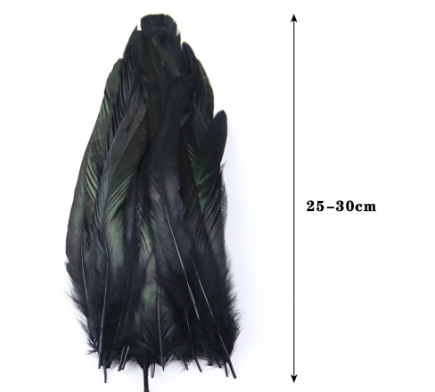 Natural Chicken Tail Feathers