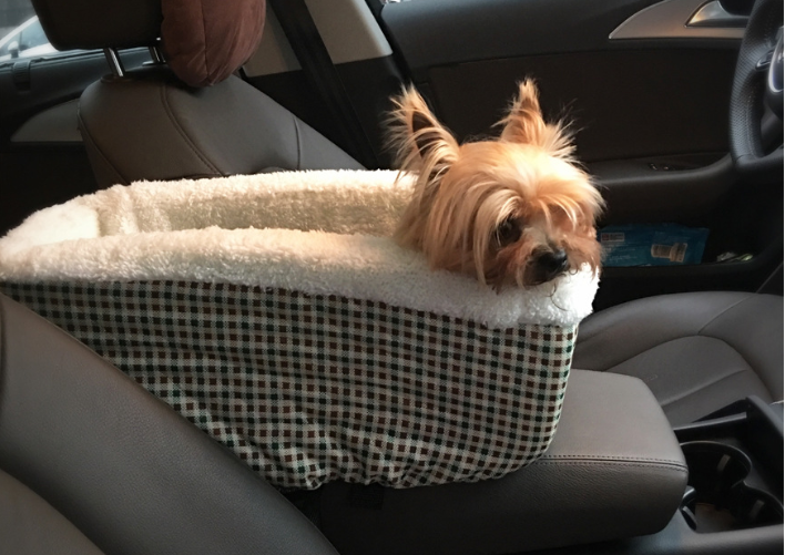 Car Safety Seat Pet Nest Options