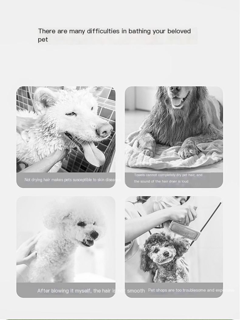 ProQuiet Ion Dog Grooming Brush Image 2