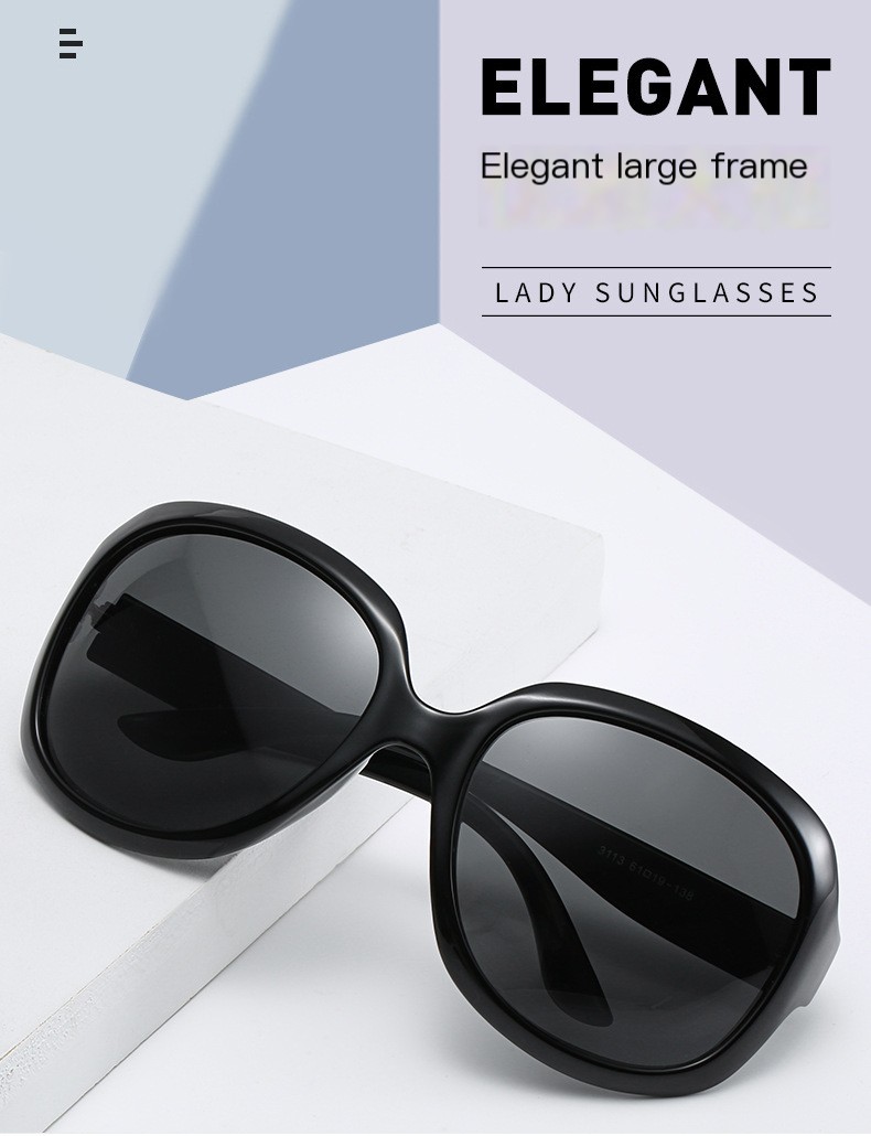 3113 Polarized Sunglasses 1