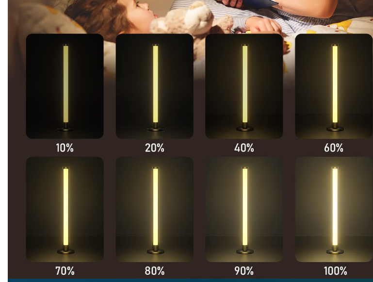 RGBIC Illusion Light