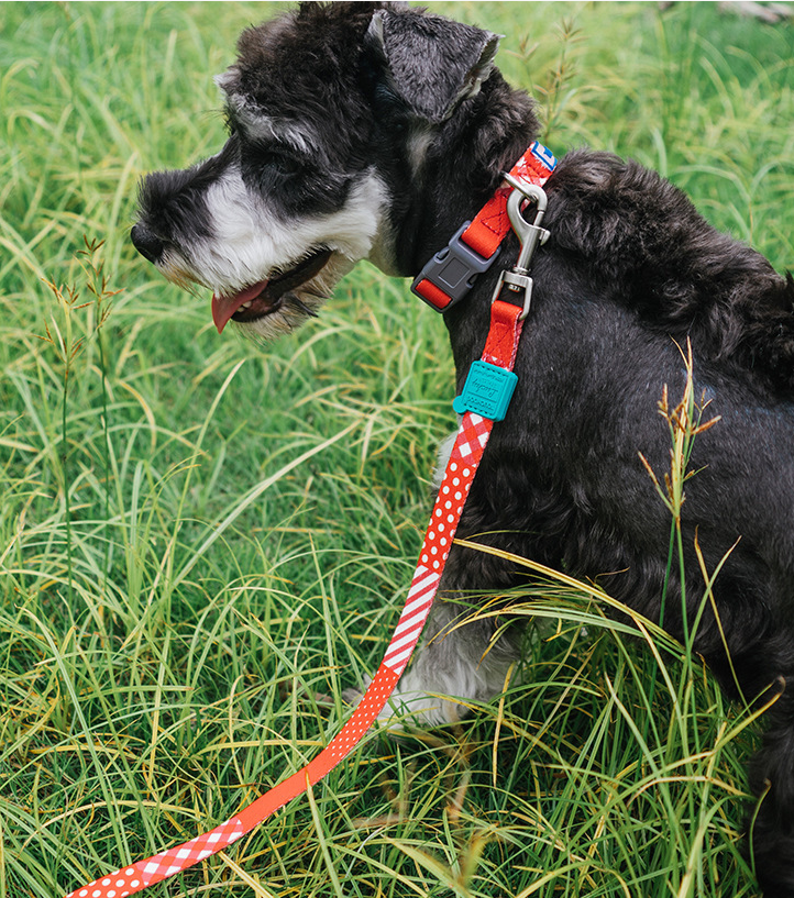 Touchdog Leash Design 4