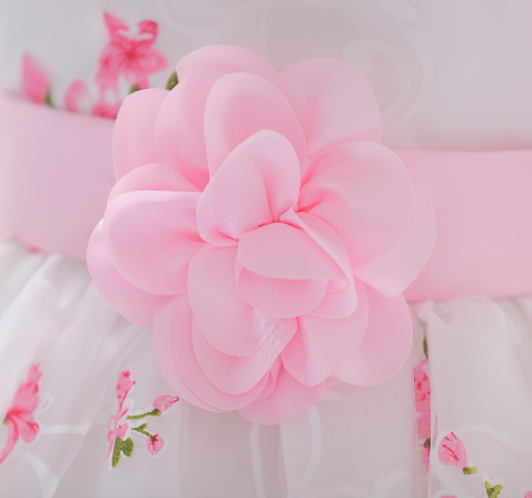 Baby Lace Dress Image 5