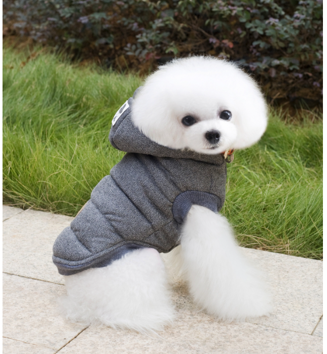 Pet Clothing Image 3