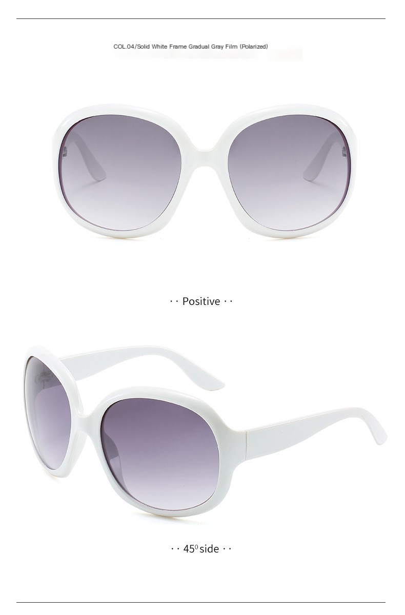 3113 Polarized Sunglasses 13