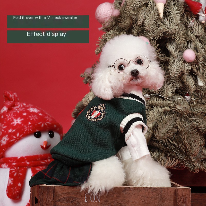 Dog Outfit 2