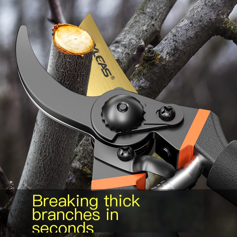 Pruning Scissors