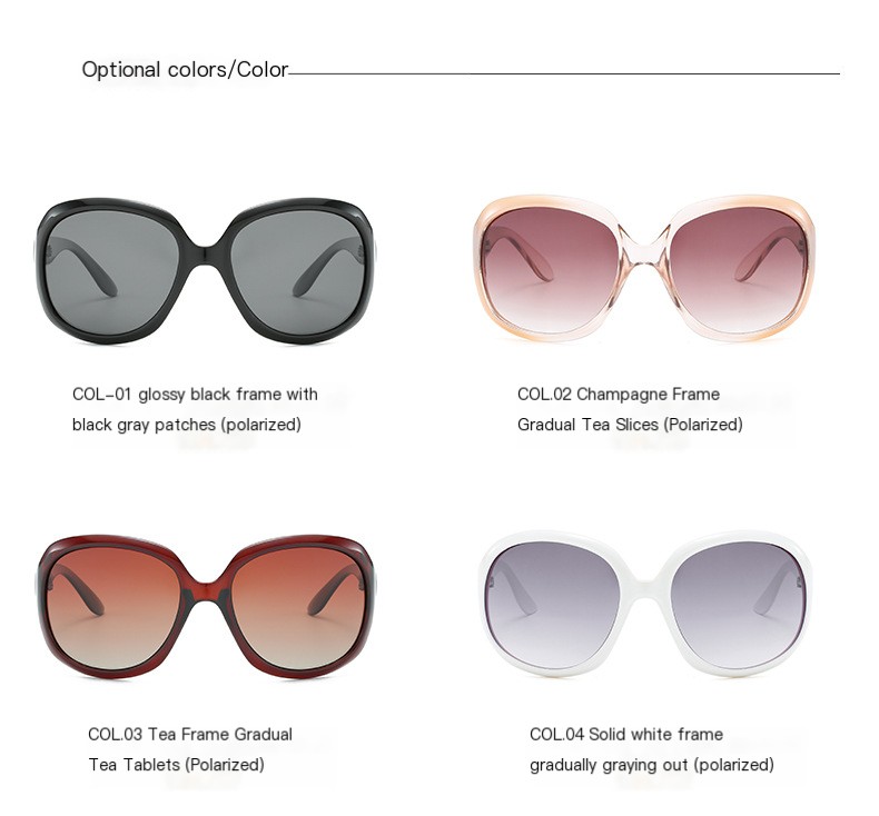 3113 Polarized Sunglasses 9