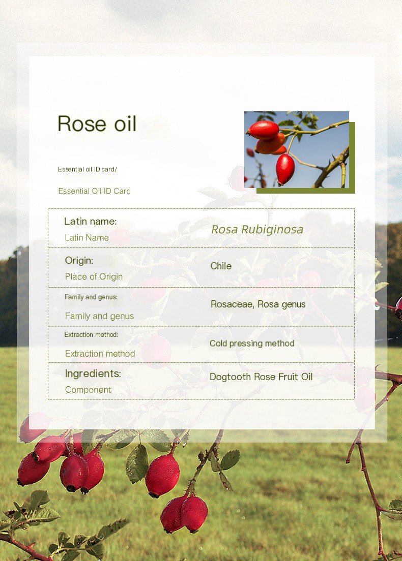Rosehip Oil Image 2