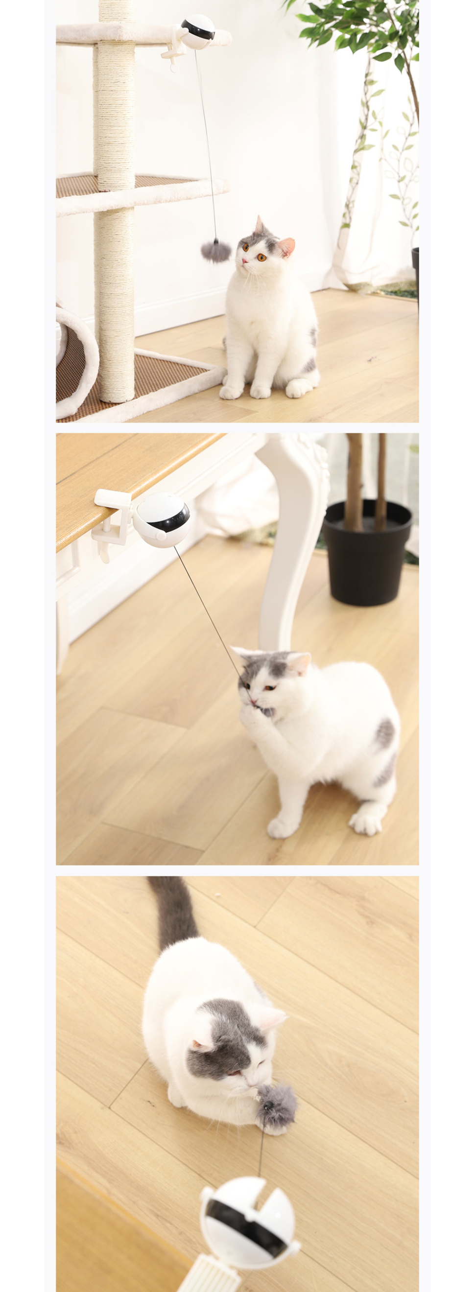 Durable Design for Cats