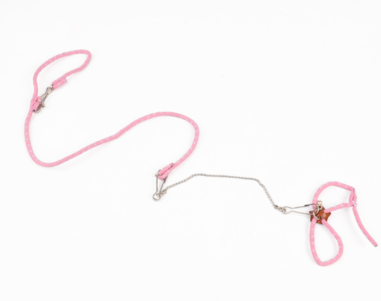 Training Leash for Hamsters - Outdoor Adventure