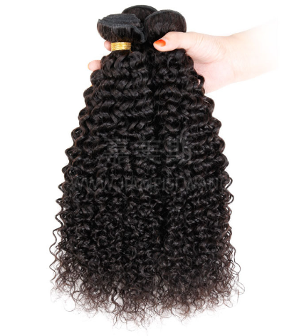 Brazilian Human Hair Wig