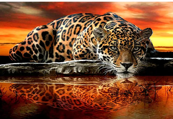 5D Sunset Tiger Diamond Painting