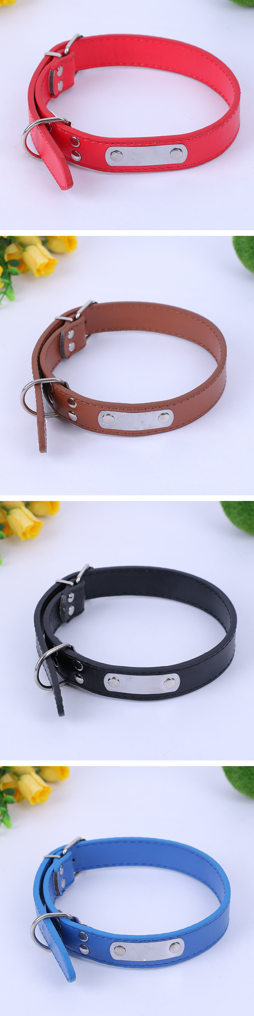 Dog Collars