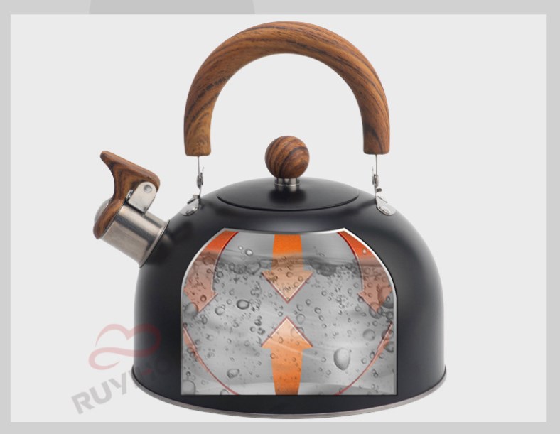 Stainless Steel Kettle 2