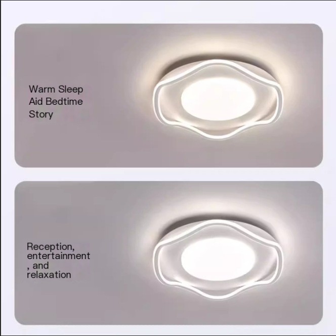 Iron Ceiling Light in White