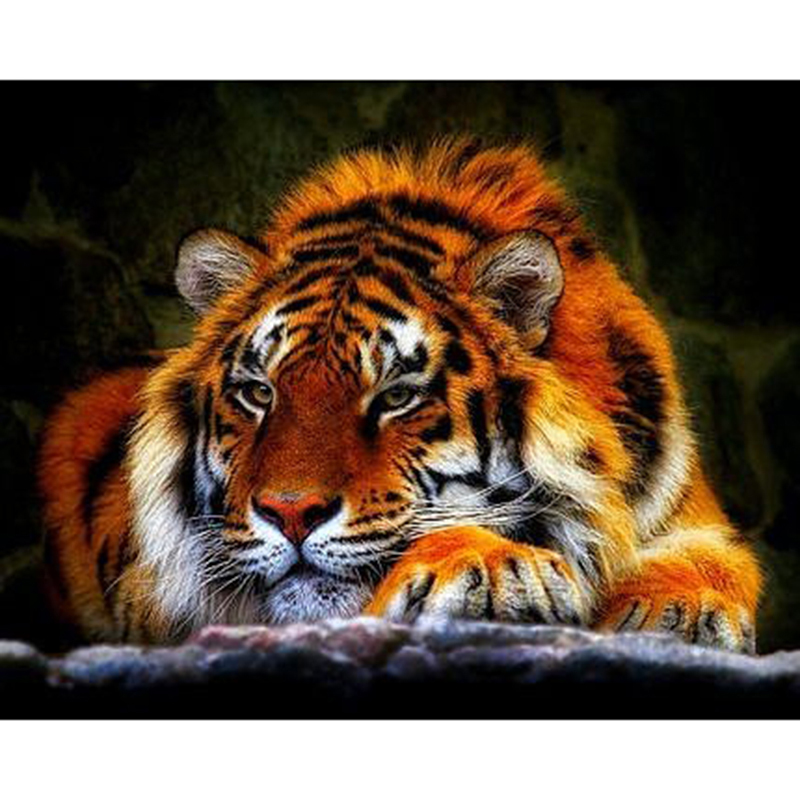 Tiger Diamond Painting