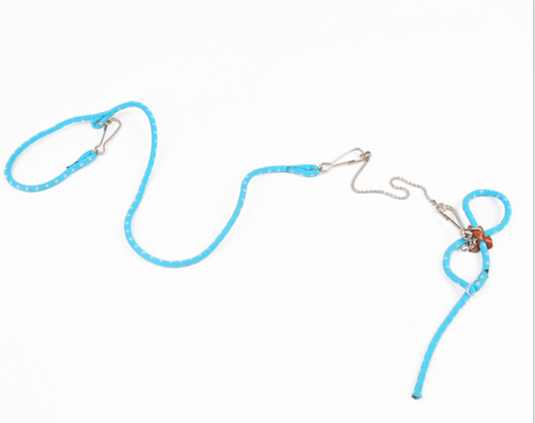 Training Leash for Hamsters - Pink