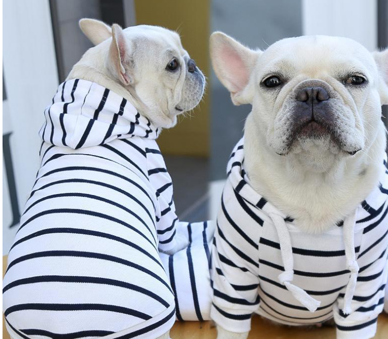 Striped Dog Hoodie — product detail 4