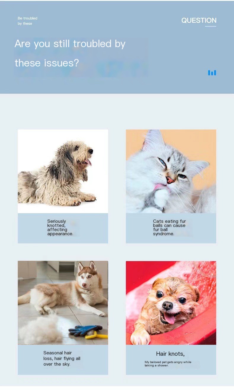 Pet Comb Image 3