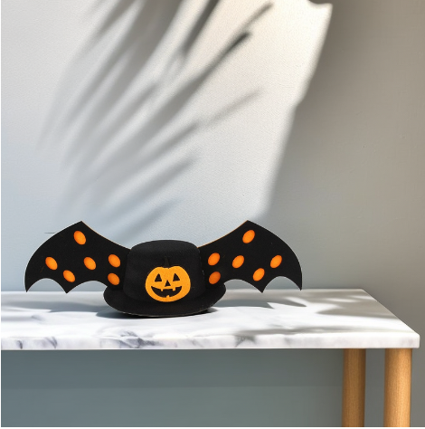 Pet Hat Stylish Design