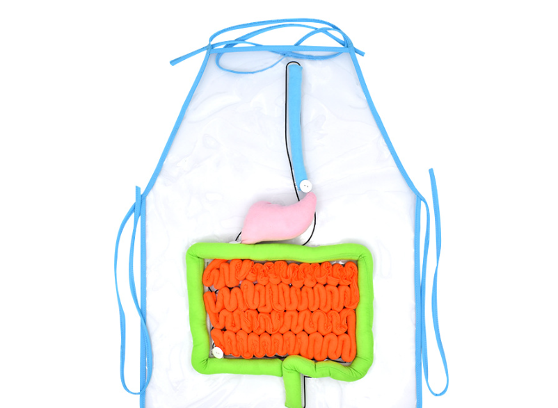 Anatomy Apron Image 2