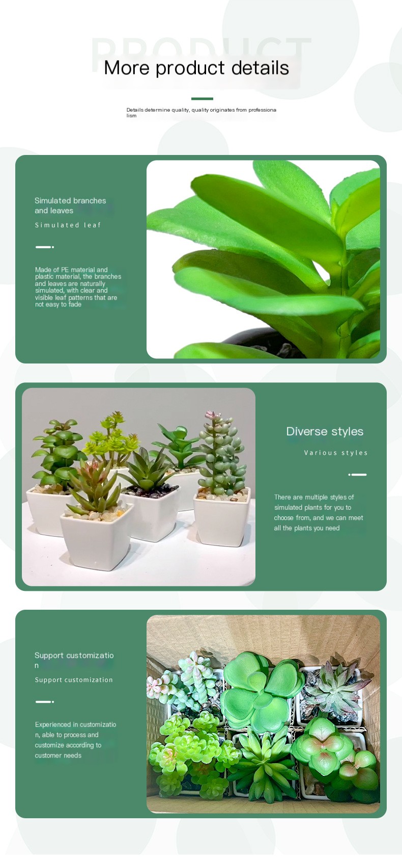 Decoración de cactus de interior