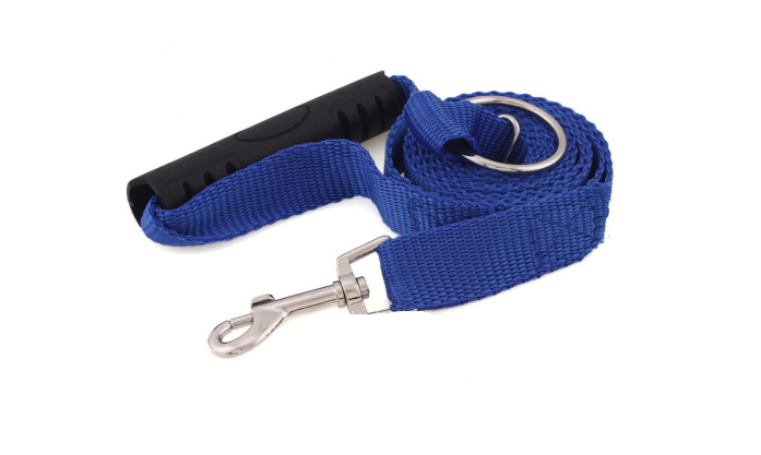 Instant Trainer Leash in Use 3