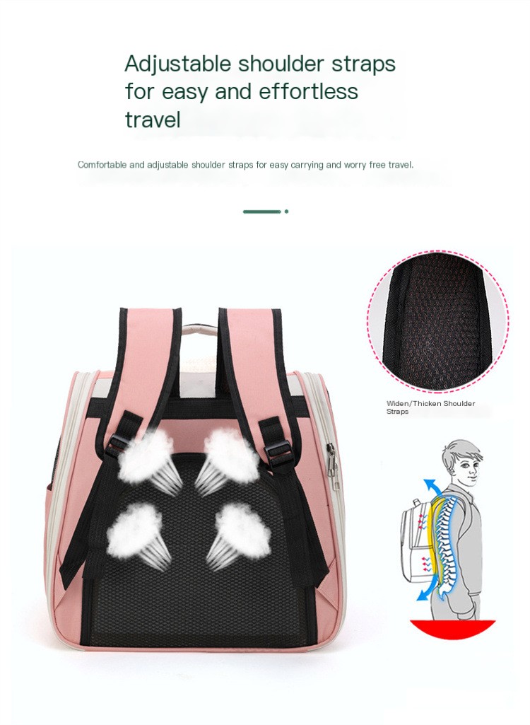 Cat Backpack 2