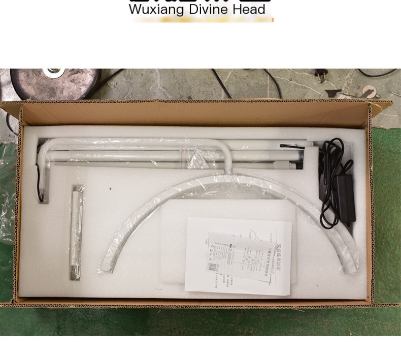 LED Beauty Floor Lamp