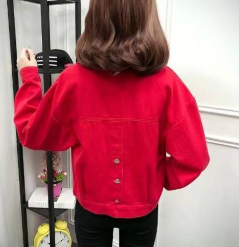 Short Denim Jacket Image 2