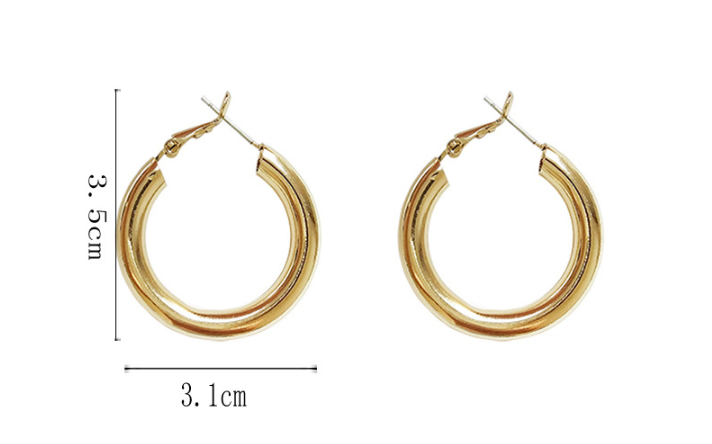 Golden Geometric Alloy Earrings
